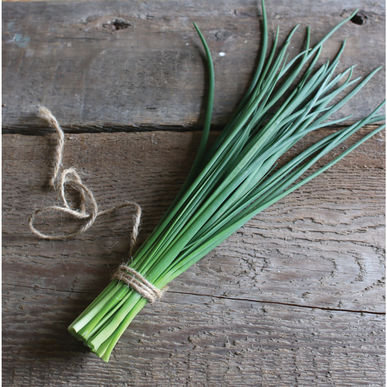 Chives - 1 bu