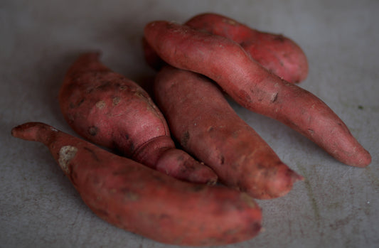 Orange Covington Sweet Potatoes - 1 lb