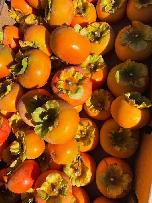 Dry-Farmed Fuyu Persimmons - 4 ct