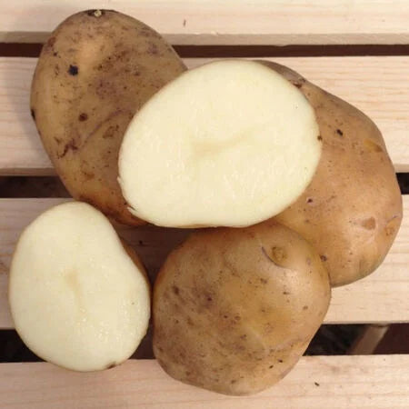 Kennebec Potatoes - 1 lb