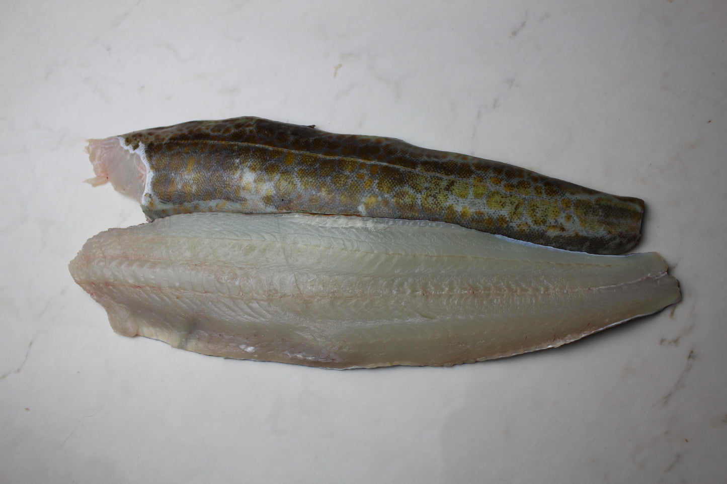 Frozen Lingcod Fillet