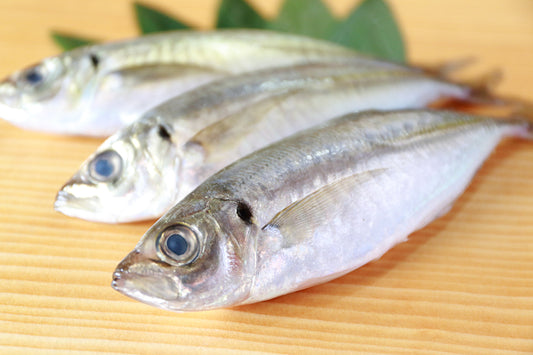 FROZEN & VAC SEALED - Pacific Jack Mackerel - 1 lb