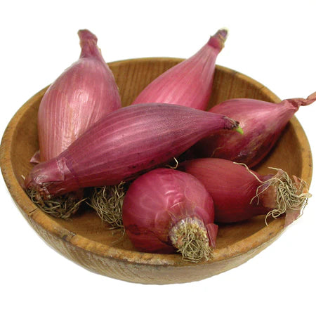 Tropea Onions - 1 lb