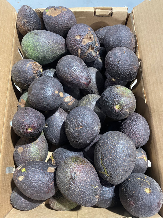 Dry-Farmed Hass Avocado