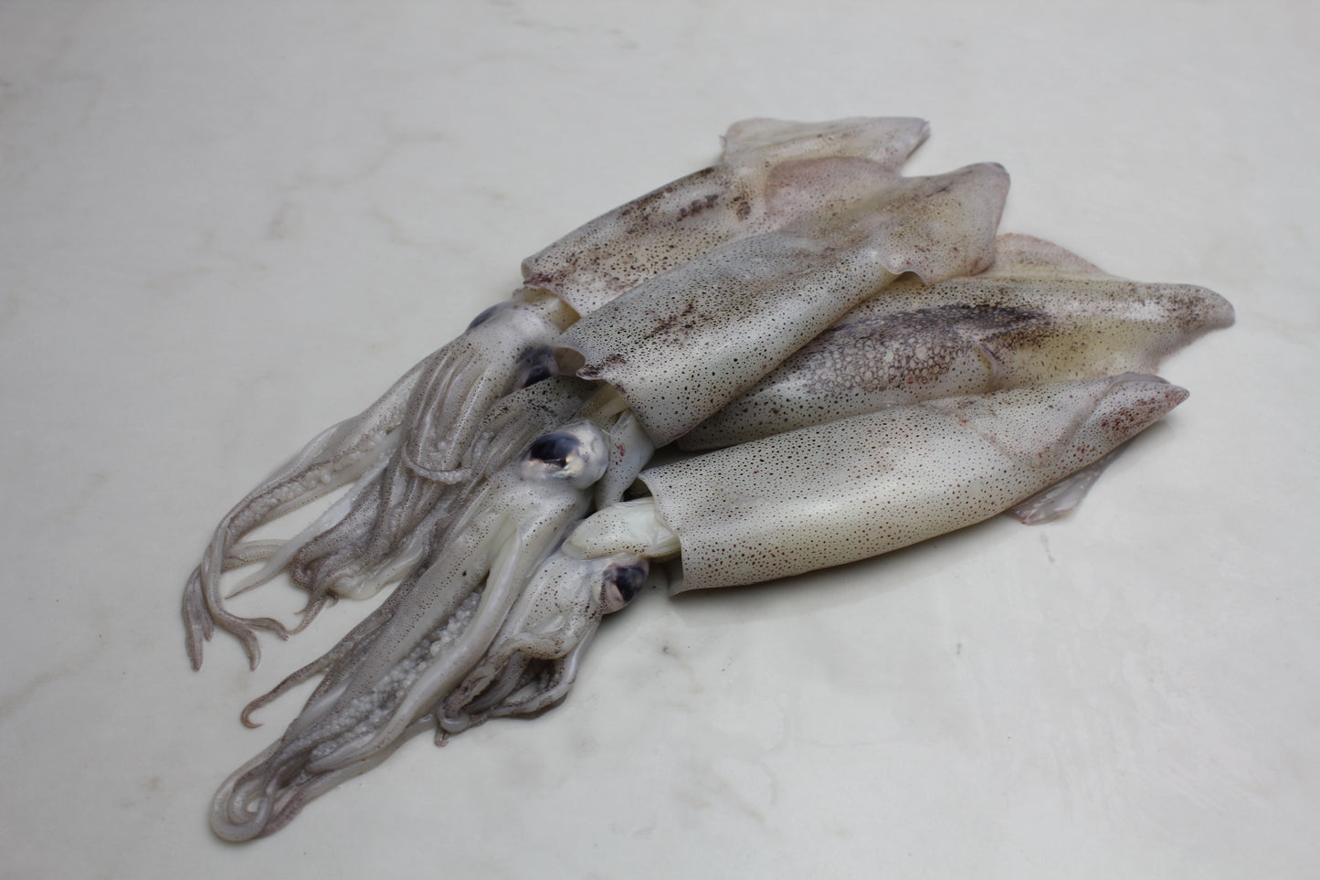 Fresh Whole Market Squid - 2 lbs