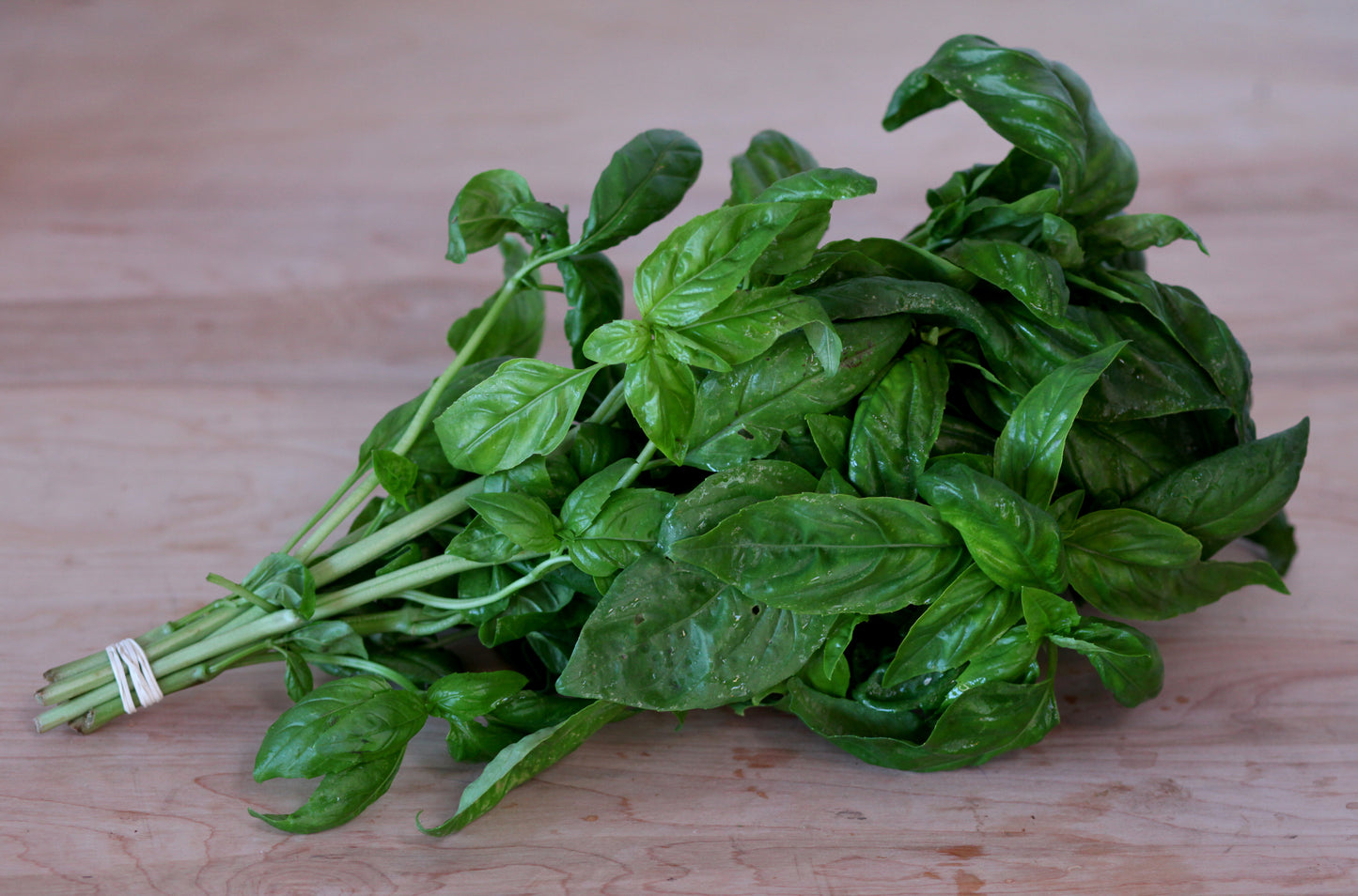 Italian Basil - 1 bu