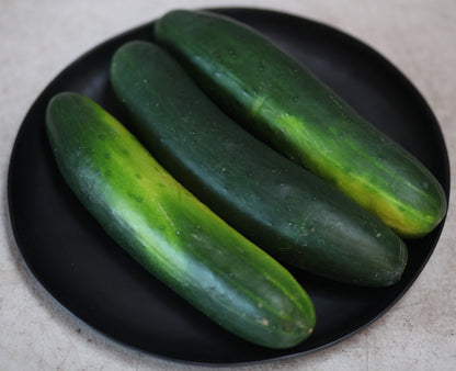 Green Slicer Cucumbers - 1 ct