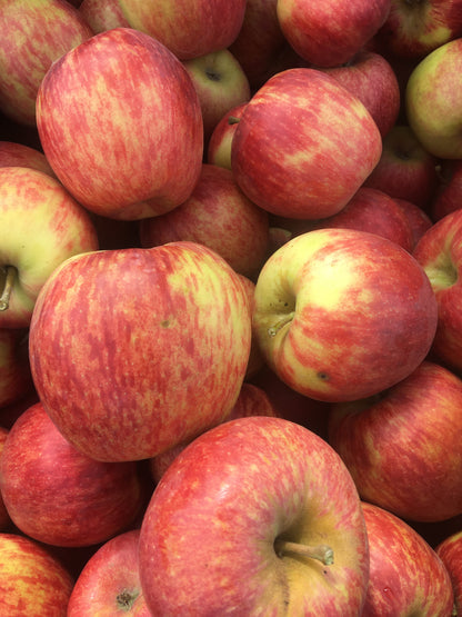 Dry-Farmed Jonagold Apples - 3 ct