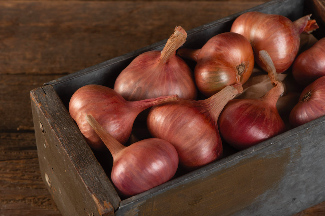 Shallots - 8 oz