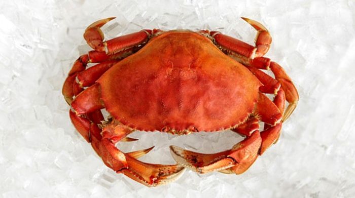 Whole Cooked Dungeness Crab - 1.75 - 2 lbs