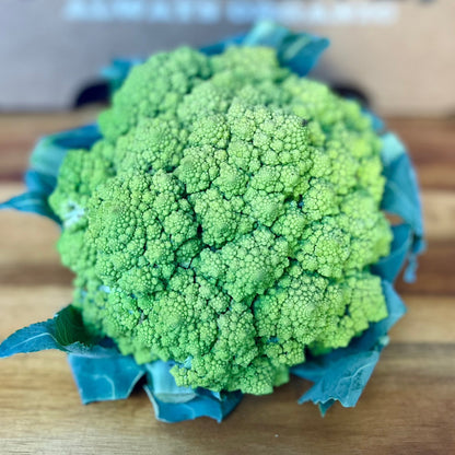 Romanesco - 1 ct