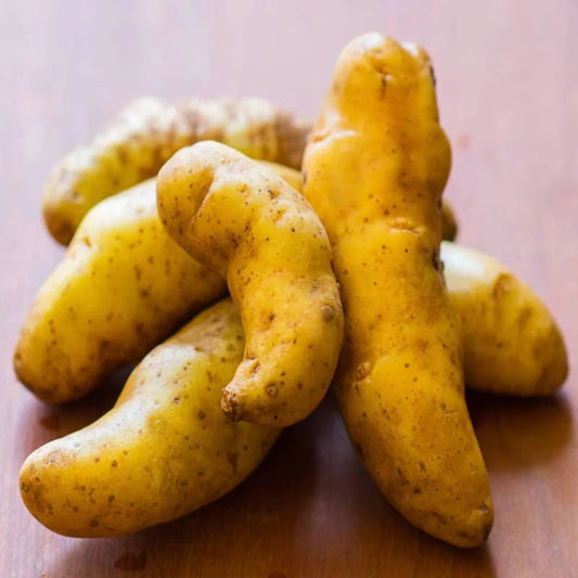 Banana Fingerling Potatoes - 1 lb